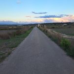 José Vidal Valicourt